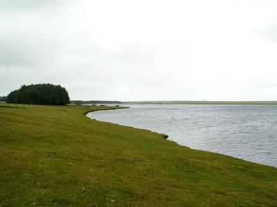 Crowdy Reservoir