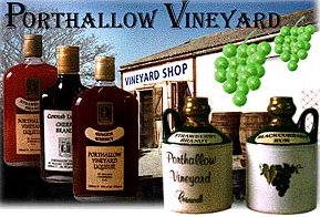 Porthallow Vineyard