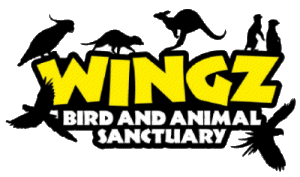 Wingz Bird & Animal Sanctuary